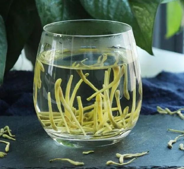 The Efficacy and Uses of Honeysuckle: Proper Methods for Brewing Honeysuckle Tea