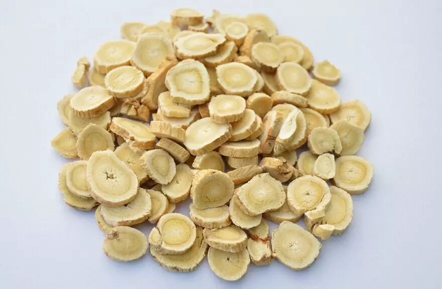 Herbal Medicine | Astragalus