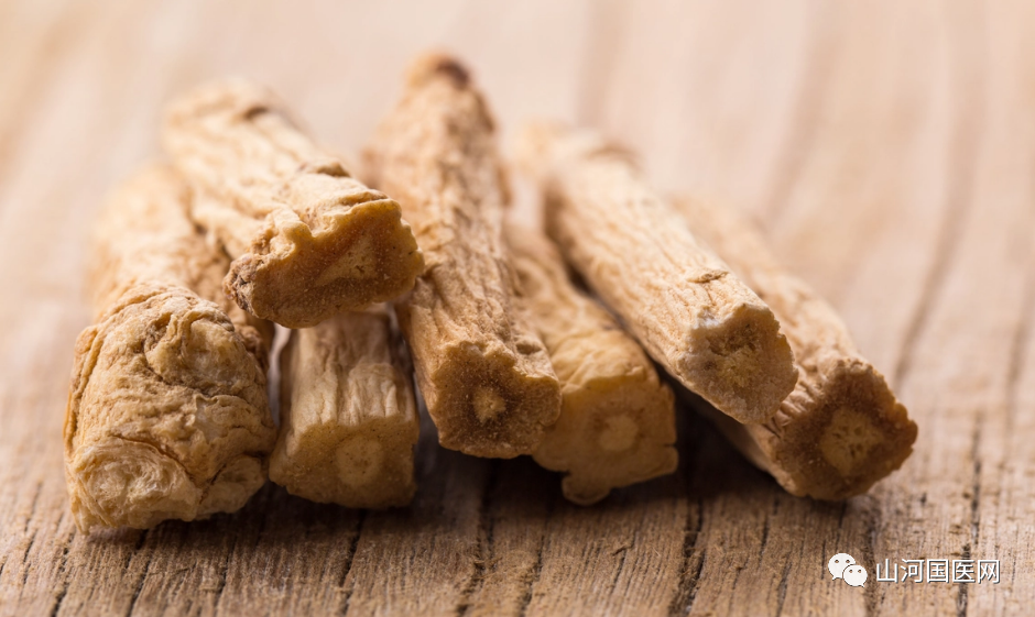 Codonopsis (Dang Shen): A Comprehensive Overview