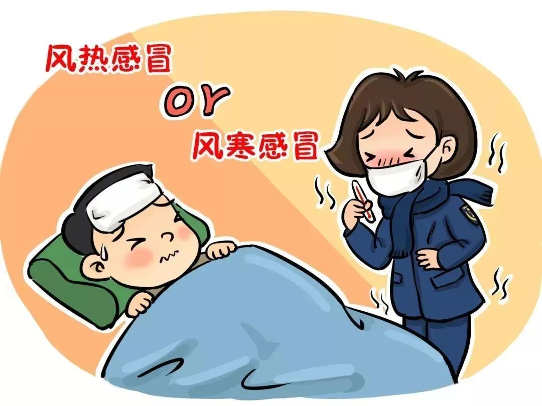 Understanding the Differences Between Wind-Cold and Wind-Heat Colds: A Quick Guide