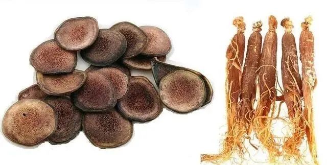 Understanding Kidney Yin and Yang Deficiency: Symptoms and 15 Commonly Used TCM Formulas