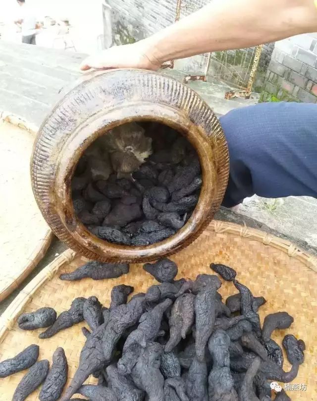 Traditional Preparation Method: 'Nine Steams and Nine Suns' of Cooked Rehmannia