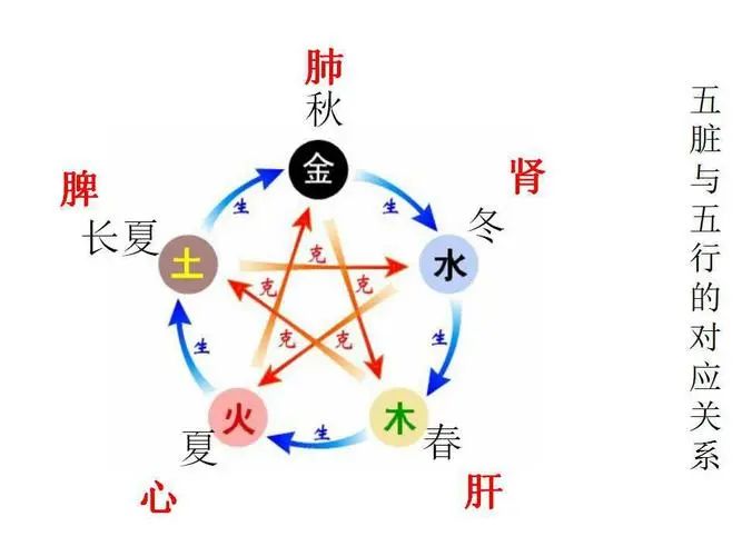 The Five Elements: Human Follows Earth, Earth Follows Heaven, Heaven Follows Dao, Dao Follows Nature