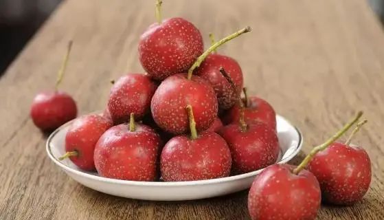 The "Golden Partner" of Danshen: Regular Consumption May Promote Blood Circulation and Dissolve Thrombus