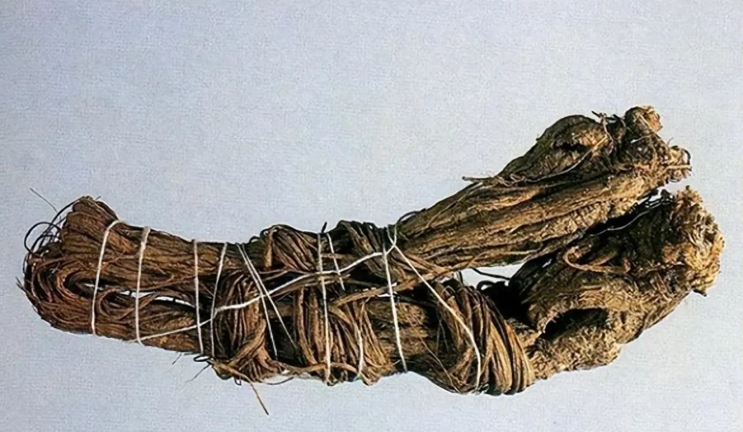 Identification of Angelica Sinensis (Dong Quai)
