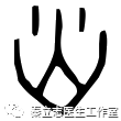 The Six Evils of Wind, Cold, Heat, Dampness, Dryness, and Fire in Traditional Chinese Medicine