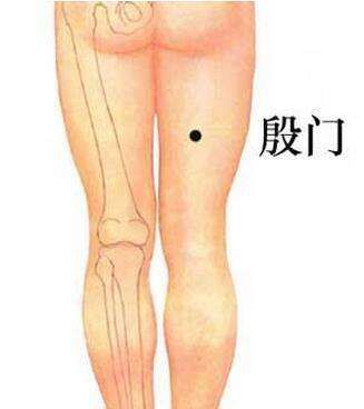 Essential Knowledge of Traditional Chinese Medicine You Must Understand