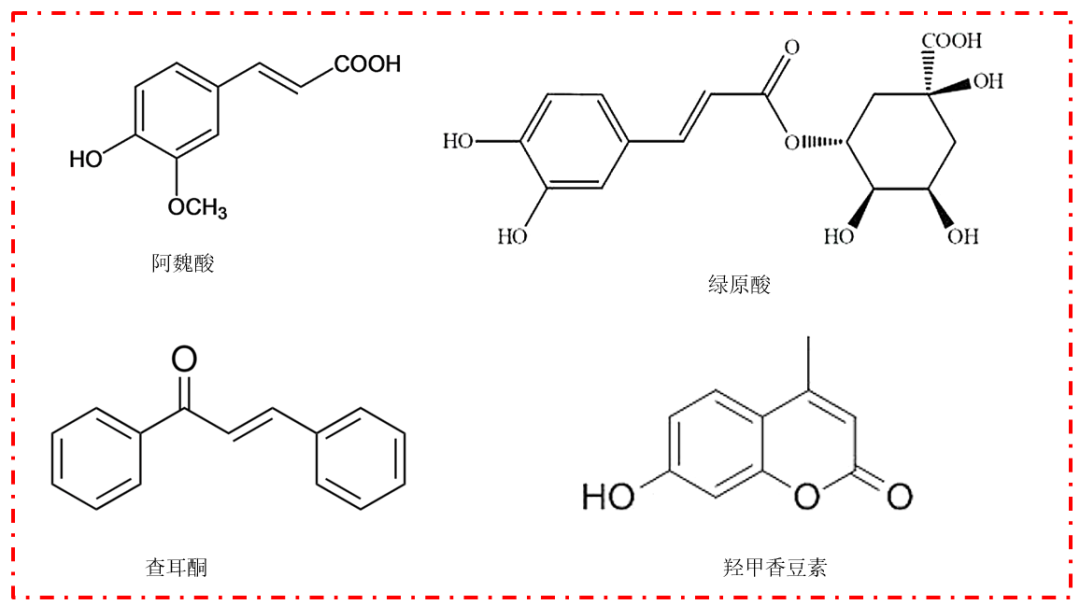 Understanding Angelica Sinensis: A Comprehensive Overview