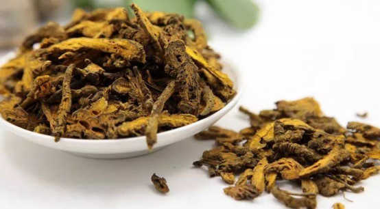 Understanding the Bitter Medicine: Huang Lian (Coptis chinensis)