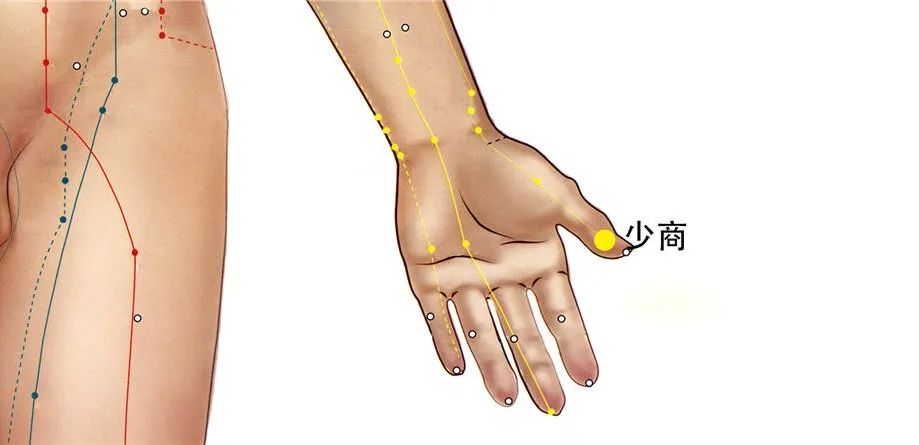 Five Fingers Corresponding to the Five Organs: Unlocking Your Finger 'Treasure' for Health!