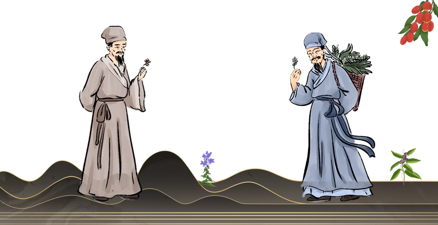 Bai Shao: Nourishing Blood, Regulating Qi, and Harmonizing the Liver and Spleen - The Champion of Liver Nourishment!
