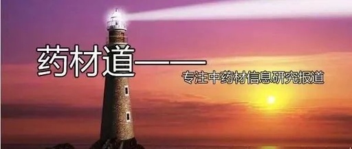 The Price Surge of Bai Shao Stabilizes