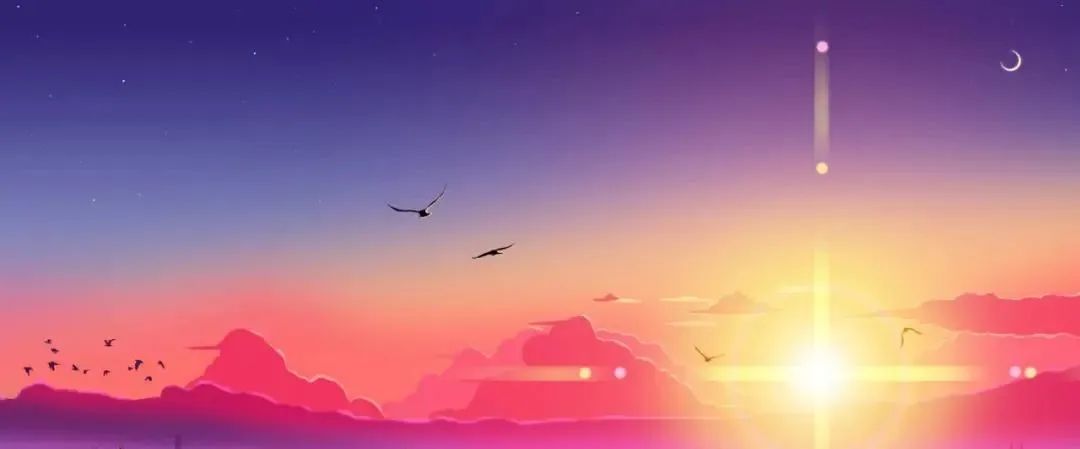 Ni Haixia: A Detailed Explanation of the Operational Patterns of the Five Zang and Six Fu Organs That Everyone Should Understand