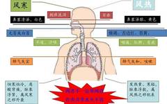 Common Ailments: The Common Cold