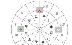 Health Tips | Eight Aspects of Traditional Chinese Medicine to Regulate Yin-Yang Balance