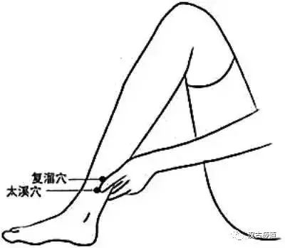 Common Deficiency Syndromes of the Five Organs (Yin, Yang, Qi, Blood) and Their Treatment Methods