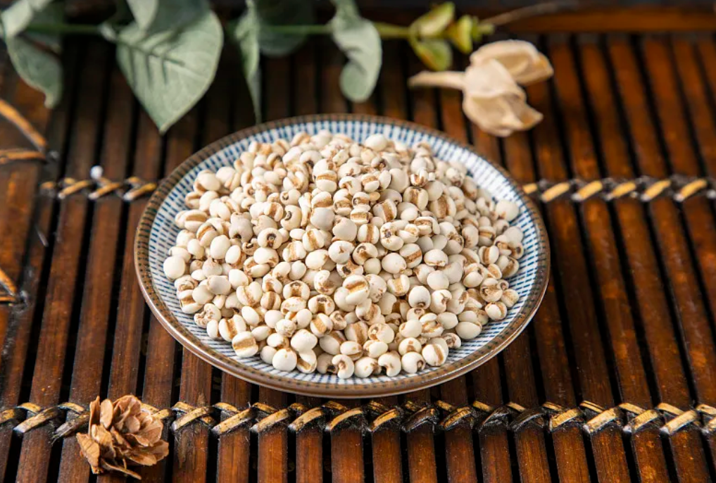 The Efficacy and Usage of Coix Seed (Yi Yi Ren)