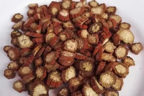 Dan Shen - A Comprehensive Overview of a Traditional Chinese Medicine Herb