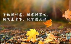 A Formula to Nourish the Five Organs' Essence, Harmonize Yin and Yang, and Achieve Remarkable Effects!