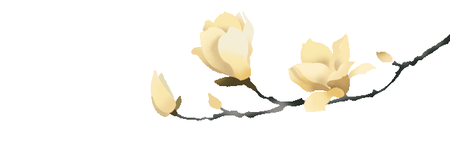 Safflower: A Vital Herb for Blood Circulation and Gynecological Health