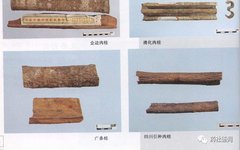 Cinnamon Bark (Rougui) - A Comprehensive Overview