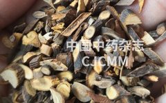 Imbalance of Yin and Yang: The Source of All Diseases - A Good Formula to Secure Yang Qi and Converge Yin Qi