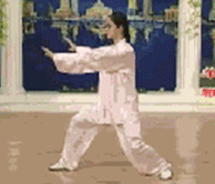 Comprehensive Guide to Tai Chi Movements: Exercise at Home!