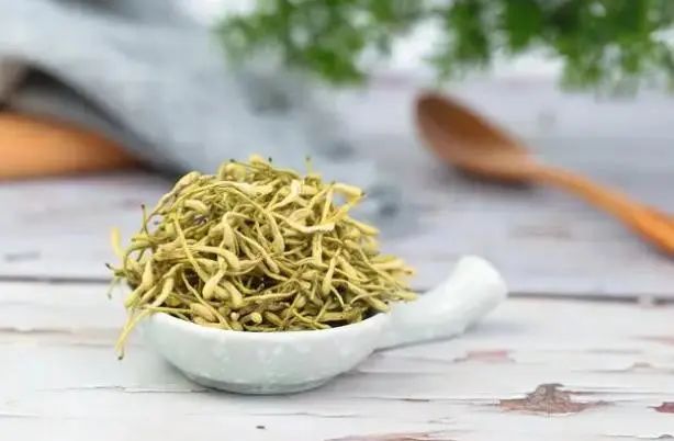 Honeysuckle: A Treasure for Health, Helping You Solve 5 Problems