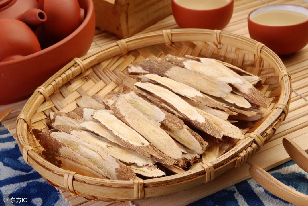 Astragalus: The First for Qi Tonification - Benefits and Precautions of Drinking Astragalus Water