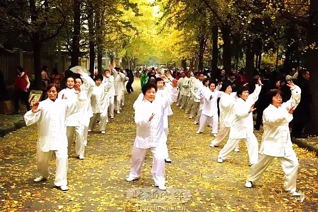 Practical Tai Chi Training Tips from Experienced Practitioners