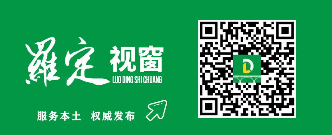 The Thousand-Year Spice: An Addiction to Luoding's Cinnamon | A Look at Lingnan Specialties