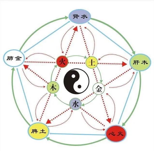 Ni Haixia: A Detailed Explanation of the Operational Patterns of the Five Zang and Six Fu Organs That Everyone Should Understand