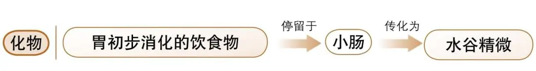Foundations of Traditional Chinese Medicine: Functions of the Five Organs and Six Bowels