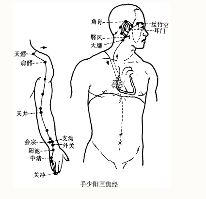 Illustration of the Twelve Meridians