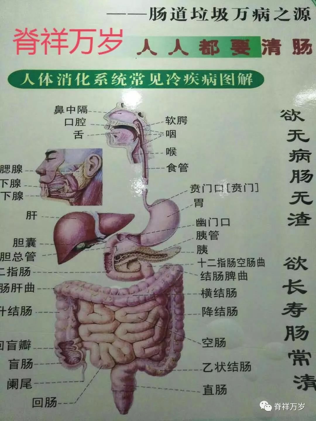 Comprehensive Guide to Holographic Diagnosis in Traditional Chinese Medicine