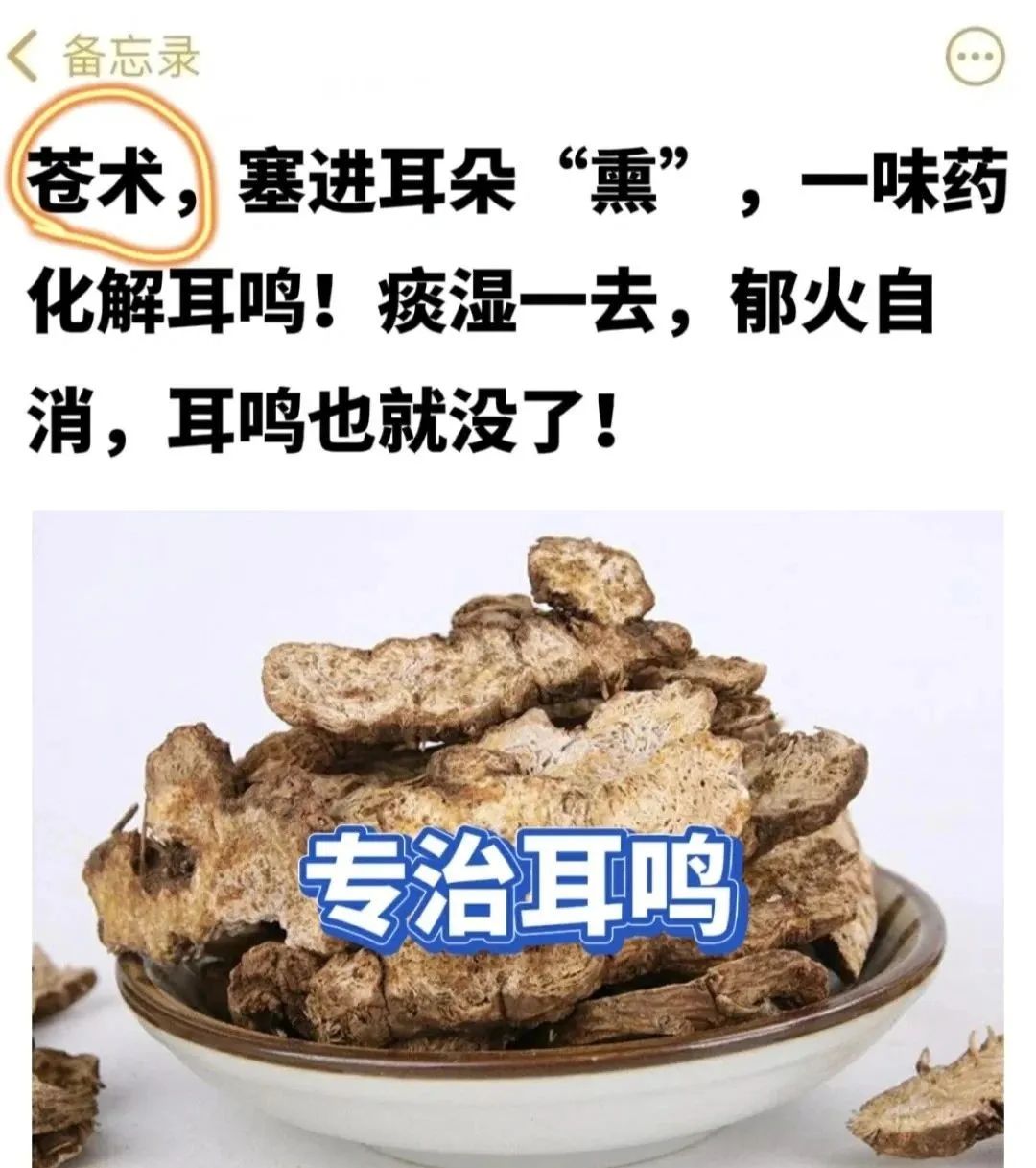 Bai Zhu (Atractylodes) - Historical and Modern Applications in TCM for Various Conditions