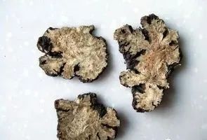 Clinical Application Experience of Chuanxiong by Renowned TCM Experts