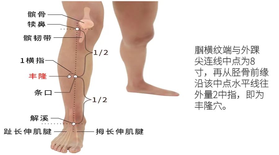 Phlegm-Dampness: Effectively Clear Lung Phlegm with One Acupuncture Point, Eliminating White, Yellow, and Sticky Phlegm