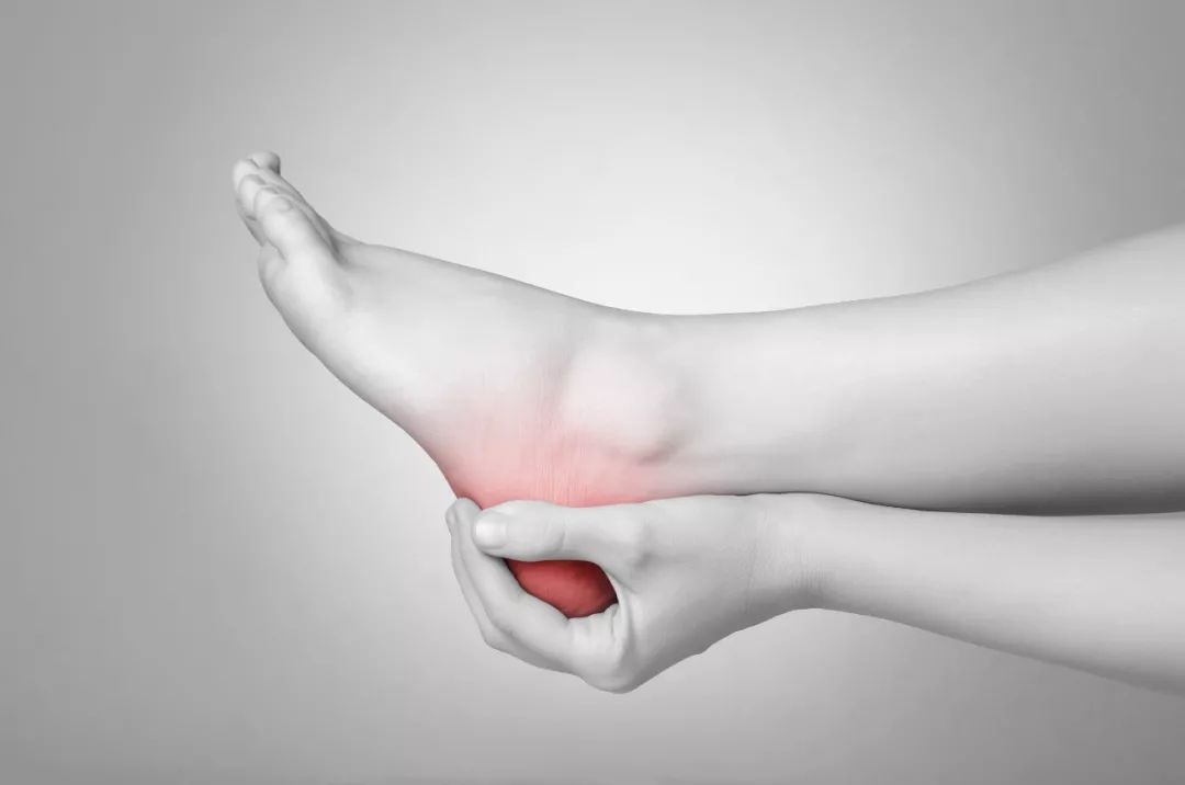 The Benefits of Coix Seed: Awakening the Spleen and Transforming Dampness