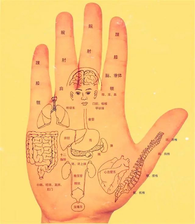 Comprehensive Guide to Observation Diagnosis in TCM
