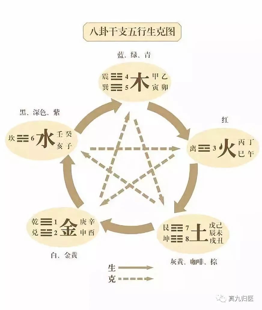 The Interactions of the Five Elements in Traditional Chinese Medicine
