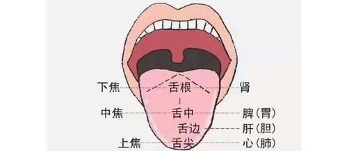 A Series on Tongue Diagnosis