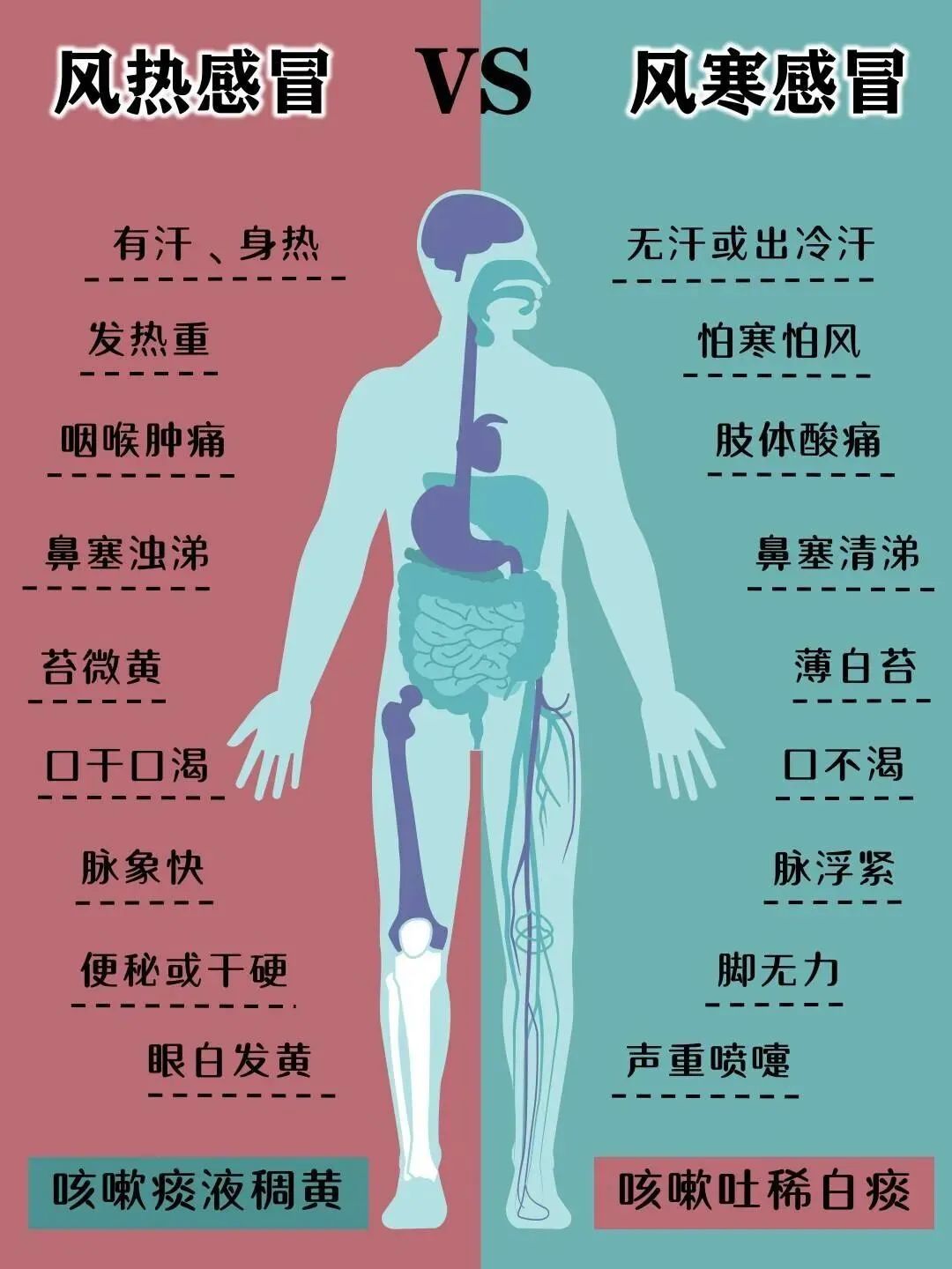 Understanding Wind-Cold and Wind-Heat Colds at a Glance