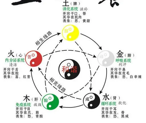 The Power of the Five Elements in Traditional Chinese Medicine