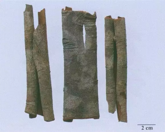 Daily Herb in Traditional Chinese Medicine - Cinnamon