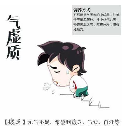 Comprehensive Dietary Therapy for Different Body Constitutions in TCM