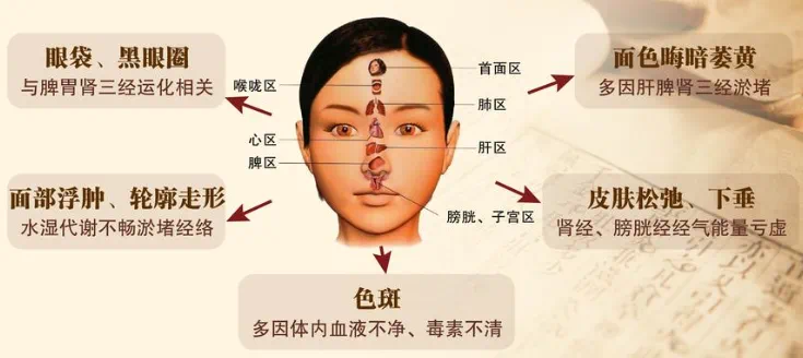 The Secret Techniques of Facial Rejuvenation in Traditional Chinese Medicine