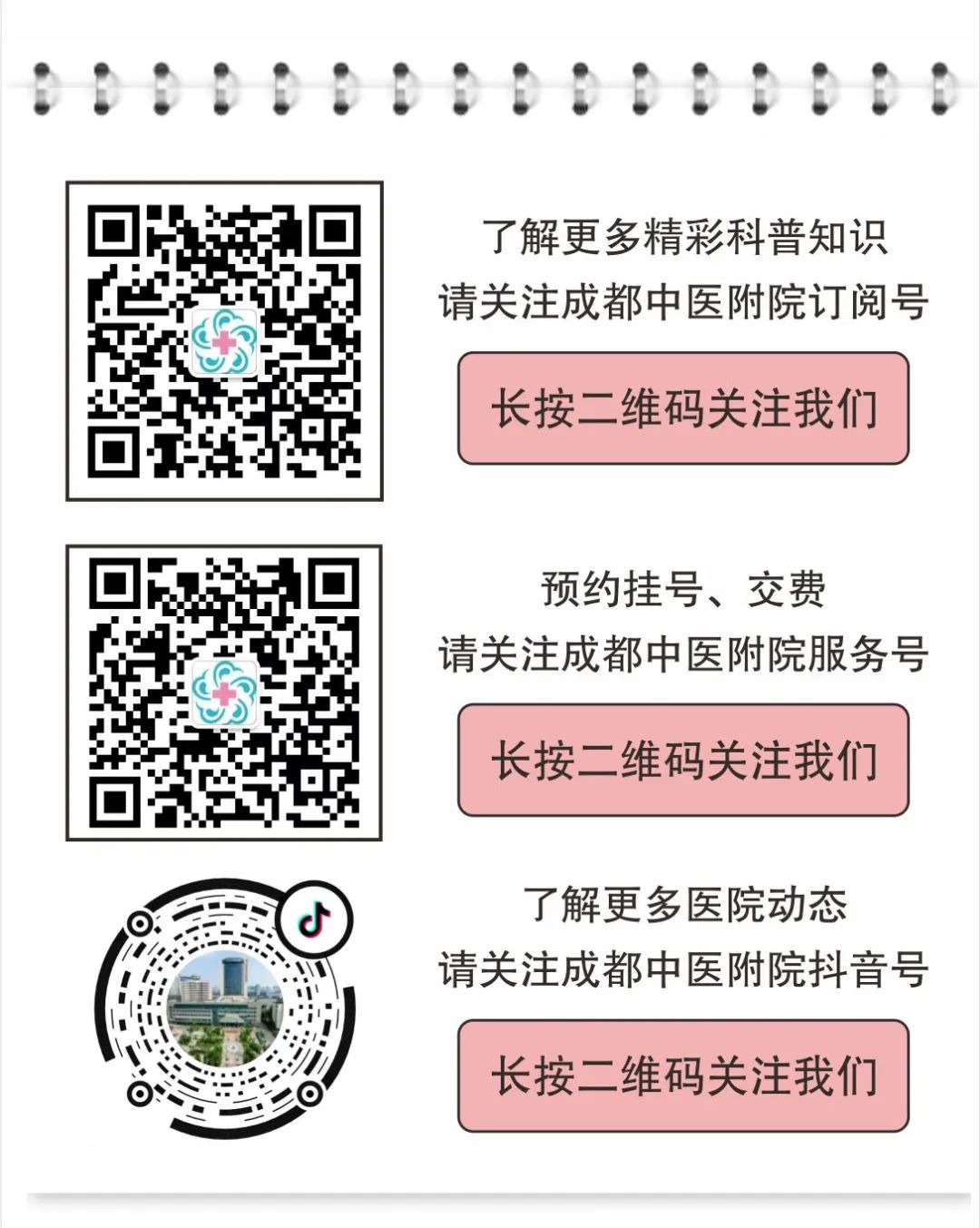 Understanding Chuanxiong: The 'Ibuprofen of Traditional Chinese Medicine'