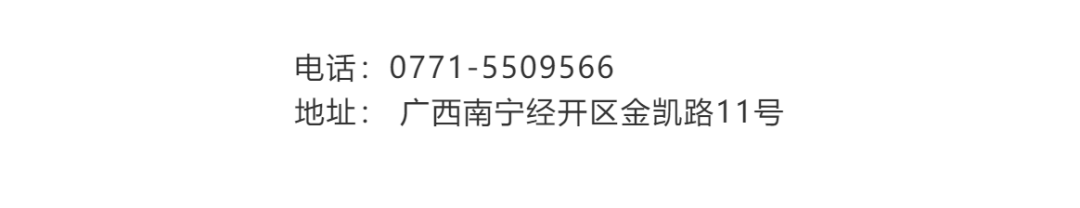 Understanding Danshen (Salvia miltiorrhiza) in Traditional Chinese Medicine