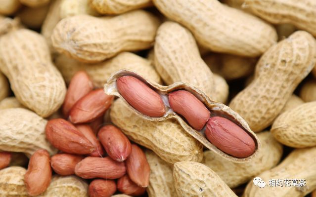 Health Benefits of Various Beans in Traditional Chinese Medicine (Part 2)